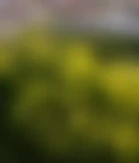 Слайд_3
