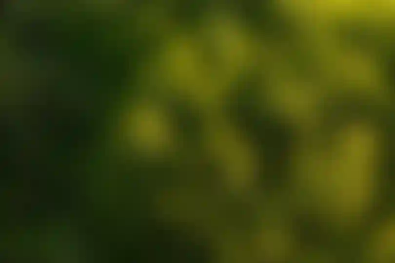 slide-2
