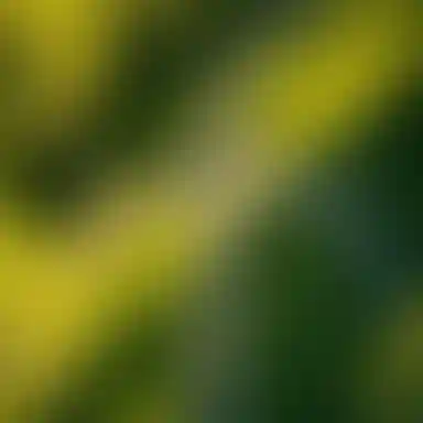 Слайд_1