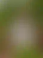 Лого