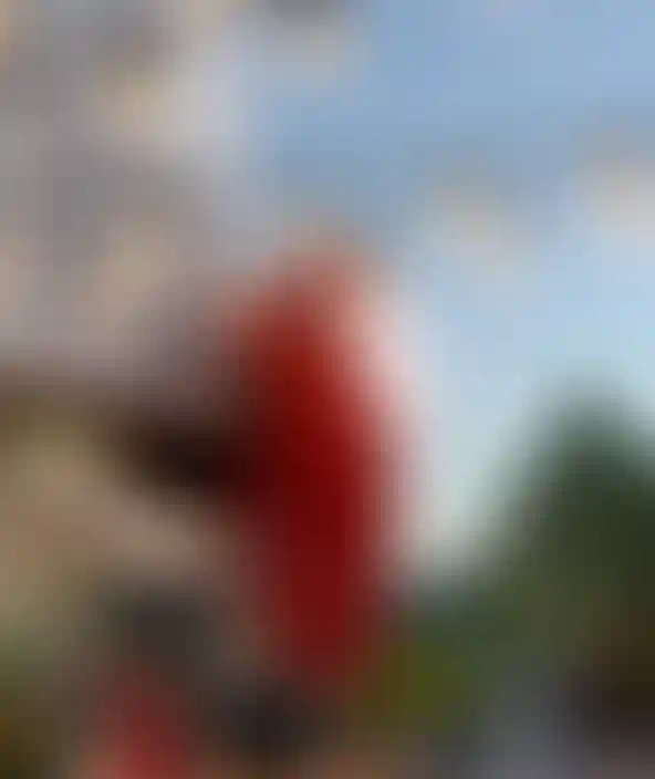 Мини изображение-5