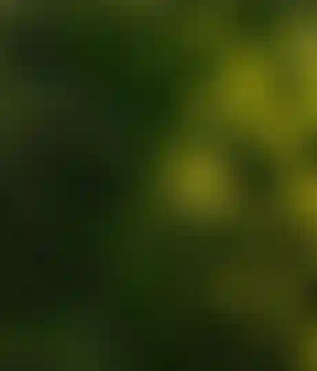 Слайд_0