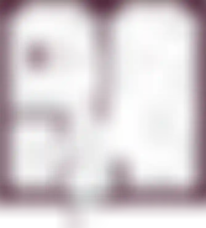 Планировка-0