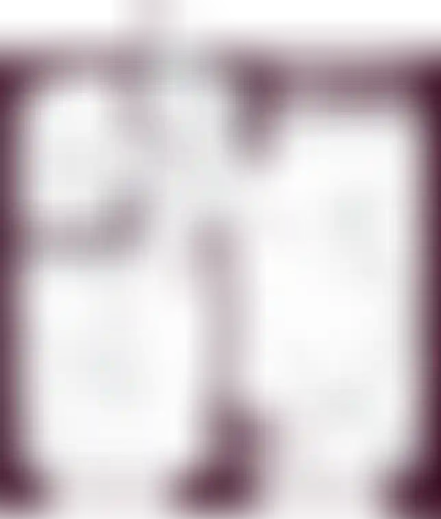 Планировка-0