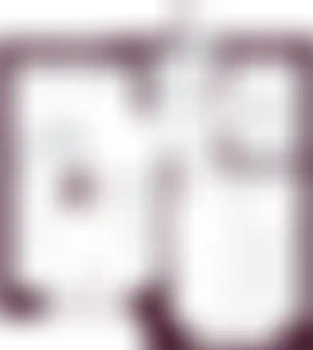 Планировка-0