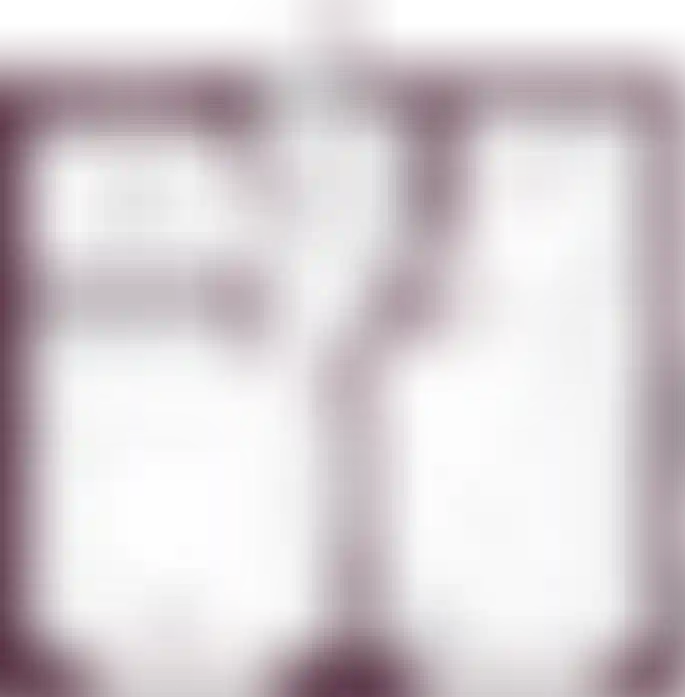 Планировка-0