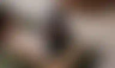 изображения клиента