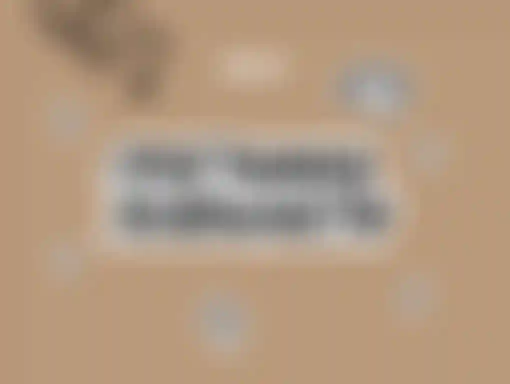 Программа лояльности «Привилегия Творчества»